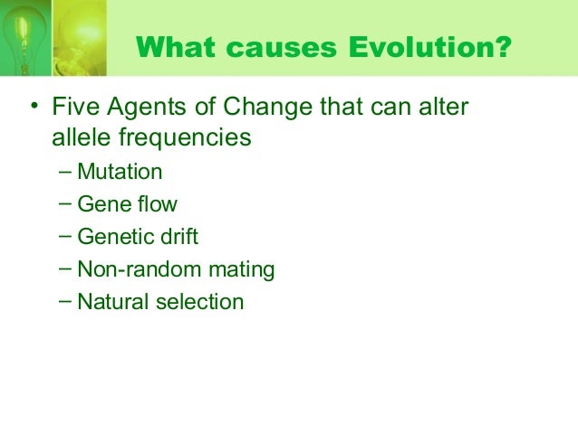 What Causes Natural Selection To Occur What Causes Natural Selection To Occur