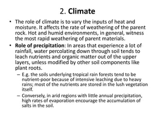 Climate Formation factors of soil formationnnnnnnnnnnnnnnnnnnnnn | PDF