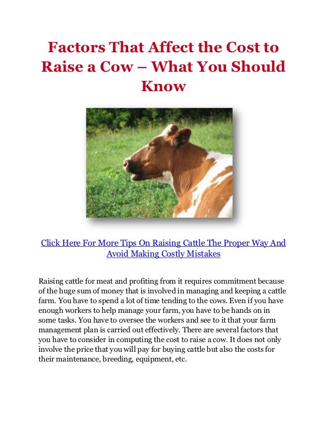 Factors That Affect the Cost to Raise a Cow What You Should Know