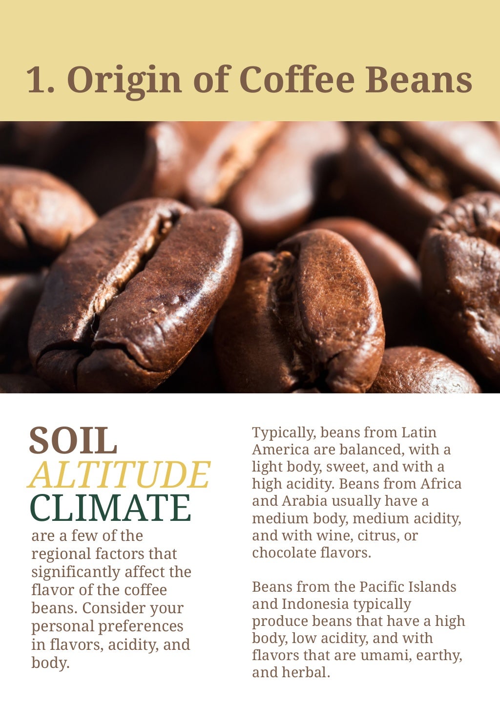 Factors That Affect the Taste of Your HomeBrewed Coffee