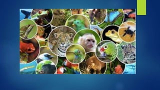 Factors that influence climate