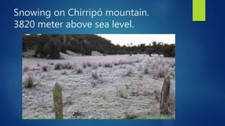 Snowing on Chirripó mountain.
3820 meter above sea level.