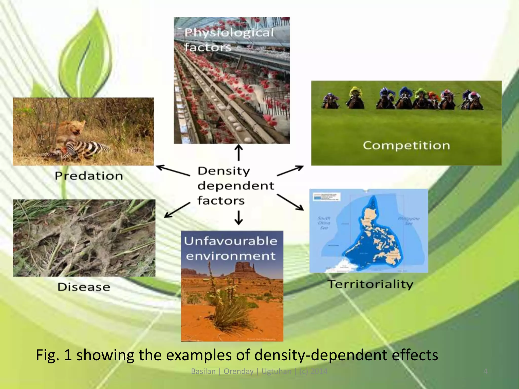 Fig. 1 showing the examples of density-dependent effects
Basilan | Orenday | Ugtuhan | (c) 2014 4
 