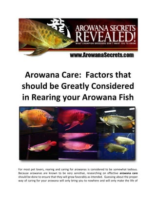 Arowana Care:  Factors that should be Greatly Considered in Rearing your Arowana Fish<br />For most pet lovers, rearing and caring for arowanas is considered to be somewhat tedious.  Because arowanas are known to be very sensitive, researching on effective arowana care should be done to ensure that they will grow favorably as intended.  Guessing about the proper way of caring for your arowana will only bring you to nowhere and will only make the life of your arowana a bit complicated so make sure that you consider learning all about it prior to buying one.  <br />The first factor that you should consider in your search for the effective handling and caring of your arowana is the size of its tank.  You have to provide your arowana an aquarium that is big enough for them to swim freely.  You should also make sure that its tank has decorations that at least resemble that of their natural habitat.  This will allow them to live without getting irritated in a barren tank or aquarium.  Another factor that you should consider is the status of water in the tank.  If you own a big tank or aquarium, the water to be filled should be four to five gallons.  <br />The water temperature should also be made warmer than usual as arowanas are categorized as tropical fishes.  Tracking the water temperature may be easily done through those electric gadgets that are especially designed for pet lovers in order for them to determine the current temperature in the aquarium.  You should also make sure that the water has minimal chlorine content.  This is primarily because of the proven fact that exposure to chlorine is very dangerous for your arowana.  Because of this, you are advised to make use of chemical agents in minimizing the chlorine content of water prior to putting it in the tank.  These things are very important if you wish to know effective arowana care and rearing.  If you want to learn more about it, it is advisable that you listen to what experts have to say.  They are more knowledgeable in caring for arowanas so they will be able to provide you effective tips.        <br />The Arowana fish is easy to keep, but hard to master when it comes to bringing out its best colors. Expose your Arowana's true colors using the simplest, laziest but most effective Arowana care techniques from http://www.arowanasecrets.com.<br />If you are starting out on rearing an Arowana, don't forget to grab the quot;
5 Steps to Setting Up Your Arowana Tank - Keeping It Simple, Clean and Quickquot;
 *FREE* report at http://www.arowanasecrets.com that is usually priced at $17.<br />