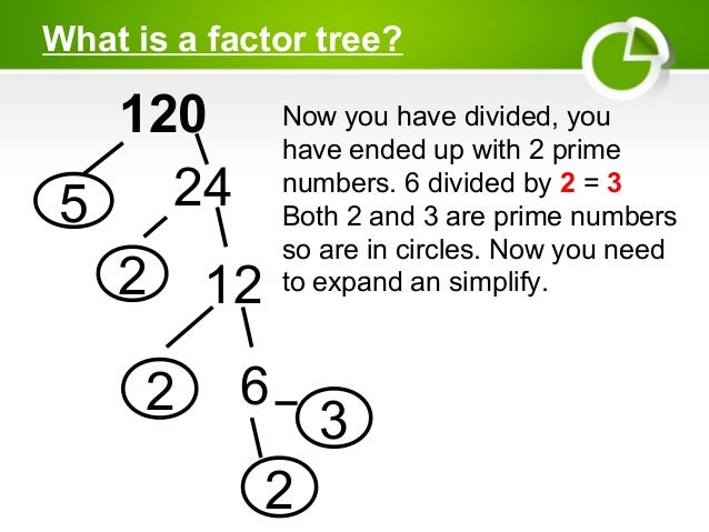 Factor trees