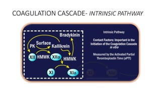 Factor xa inhibitors | PPTX