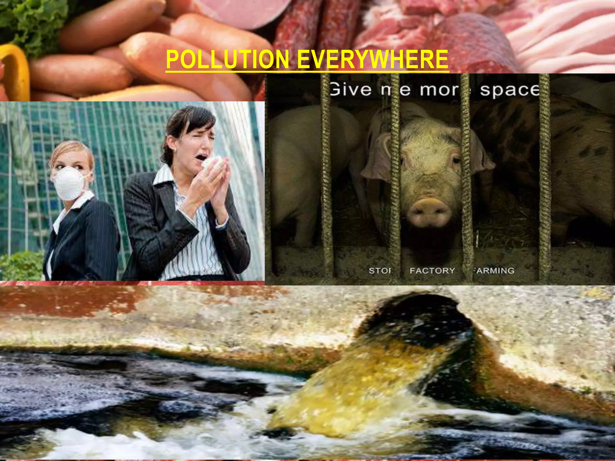 POLLUTION EVERYWHERE

 