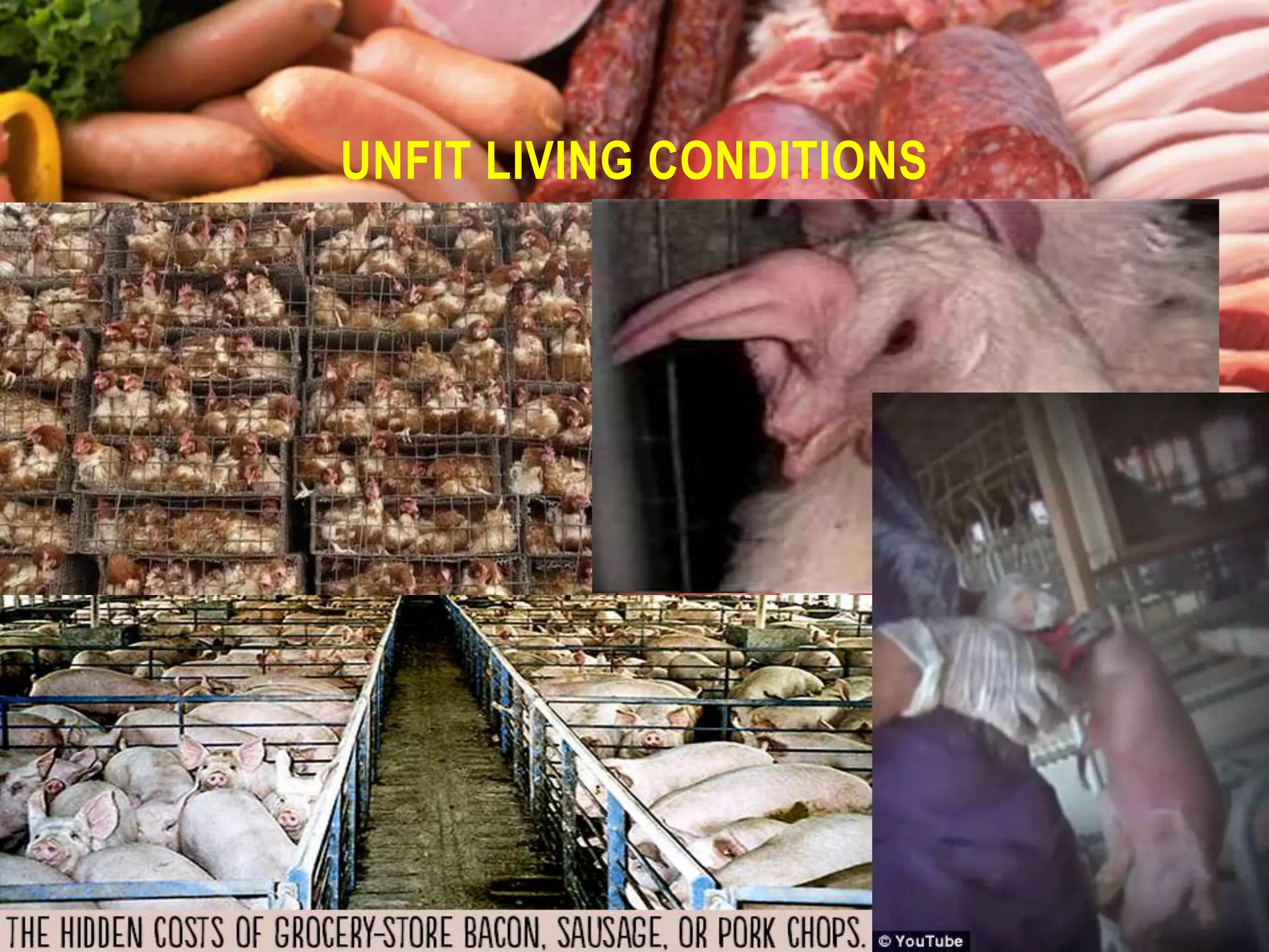 UNFIT LIVING CONDITIONS

 