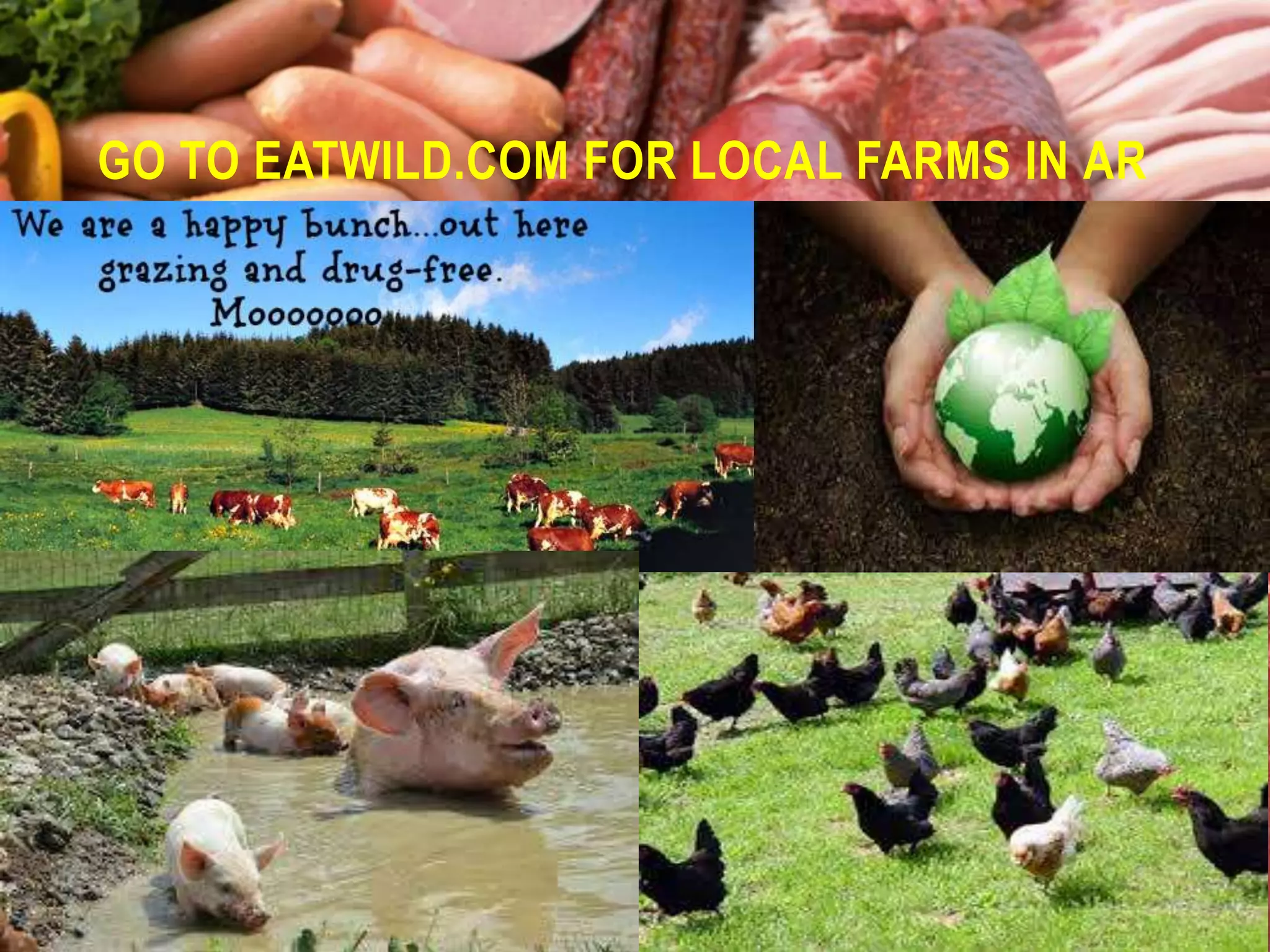 GO TO EATWILD.COM FOR LOCAL FARMS IN AR

 