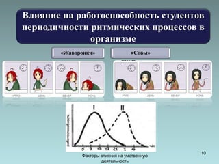 Влияние на работоспособность студентов 
периодичности ритмических процессов в 
Факторы влияния на умственную 
деятельность 
10 
организме 
«Жаворонки» «Совы» 
 