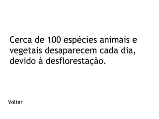 Cerca de 100 espécies animais e
vegetais desaparecem cada dia,
devido à desflorestação.

Voltar

 