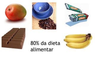 80% da dieta
alimentar

 