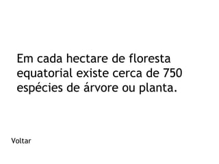Em cada hectare de floresta
equatorial existe cerca de 750
espécies de árvore ou planta.

Voltar

 