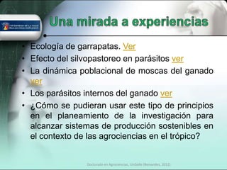 • Ecología de garrapatas. Ver
• Efecto del silvopastoreo en parásitos ver
• La dinámica poblacional de moscas del ganado
  ver
• Los parásitos internos del ganado ver
• ¿Cómo se pudieran usar este tipo de principios
  en el planeamiento de la investigación para
  alcanzar sistemas de producción sostenibles en
  el contexto de las agrociencias en el trópico?


                Doctorado en Agrociencias, UniSalle (Benavides, 2012)
 