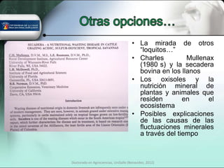 • La mirada de otros
                                        “loquitos…”
                                      • Charles         Mullenax
                                        (1980 s) y la secadera
                                        bovina en los llanos
                                      • Los oxisoles y la
                                        nutrición mineral de
                                        plantas y animales que
                                        residen        en      el
                                        ecosistema
                                      • Posibles explicaciones
                                        de las causas de las
                                        fluctuaciones minerales
                                        a través del tiempo



Doctorado en Agrociencias, UniSalle (Benavides, 2012)
 