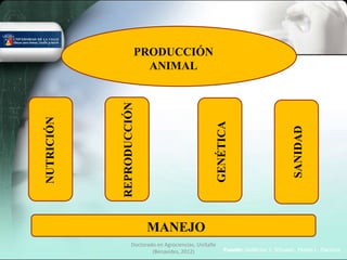PRODUCCIÓN
                         ANIMAL




            REPRODUCCIÓN
NUTRICIÓN




                                                          GENÉTICA




                                                                                           SANIDAD
                           MANEJO
                    Doctorado en Agrociencias, UniSalle
                            (Benavides, 2012)                 Fuente: Guillermo I. Schuster, Matias L. Piacenza
 