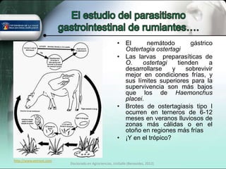 • El      nemátodo         gástrico
                                                        Ostertagia ostertagi
                                                      • Las larvas preparasíticas de
                                                        O.    ostertagi     tienden     a
                                                        desarrollarse     y    sobrevivir
                                                        mejor en condiciones frías, y
                                                        sus límites superiores para la
                                                        supervivencia son más bajos
                                                        que los de Haemonchus
                                                        placei.
                                                      • Brotes de ostertagiasis tipo I
                                                        ocurren en terneros de 6-12
                                                        meses en veranos lluviosos de
                                                        zonas más cálidas o en el
                                                        otoño en regiones más frías
                                                      • ¡Y en el trópico?


http://www.vetnext.com
                         Doctorado en Agrociencias, UniSalle (Benavides, 2012)
 