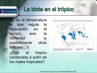 • No es la temperatura
  la que regula la
  fluctuación     en     el
  tiempo,      sino      la
  humedad               (y
  posiblemente       otros
  factores…!)
• ¿Está     el     trópico
  condenado a sufrir de
  los males tropicales?

                      Doctorado en Agrociencias, UniSalle (Benavides, 2012)
 