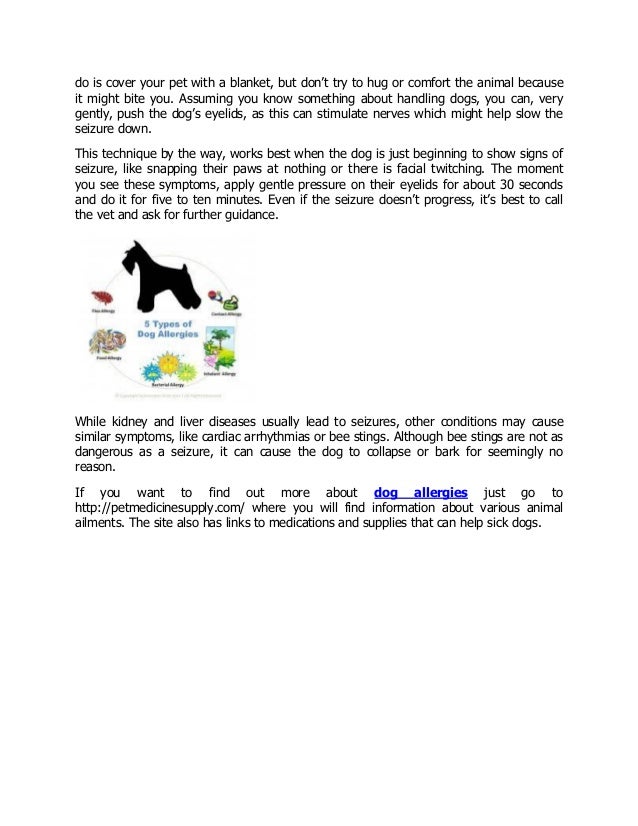 Facts about Dog Seizure