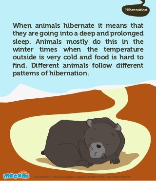 Interesting Facts about Hibernation - Mocomi.com