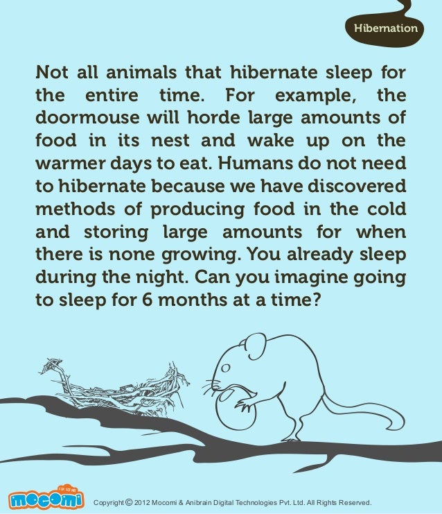 Interesting Facts about Hibernation