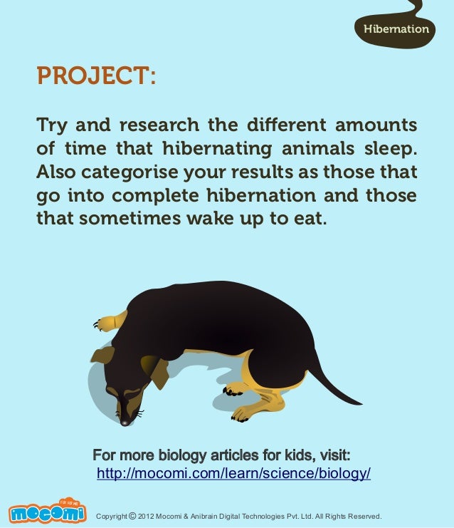 Interesting Facts about Hibernation - Mocomi.com