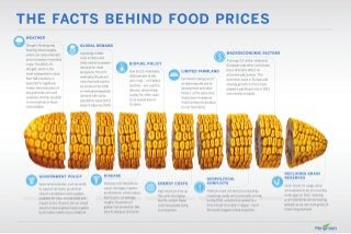 Facts Behind Food Prices for Perigreen Group of Companies by Inno Garage