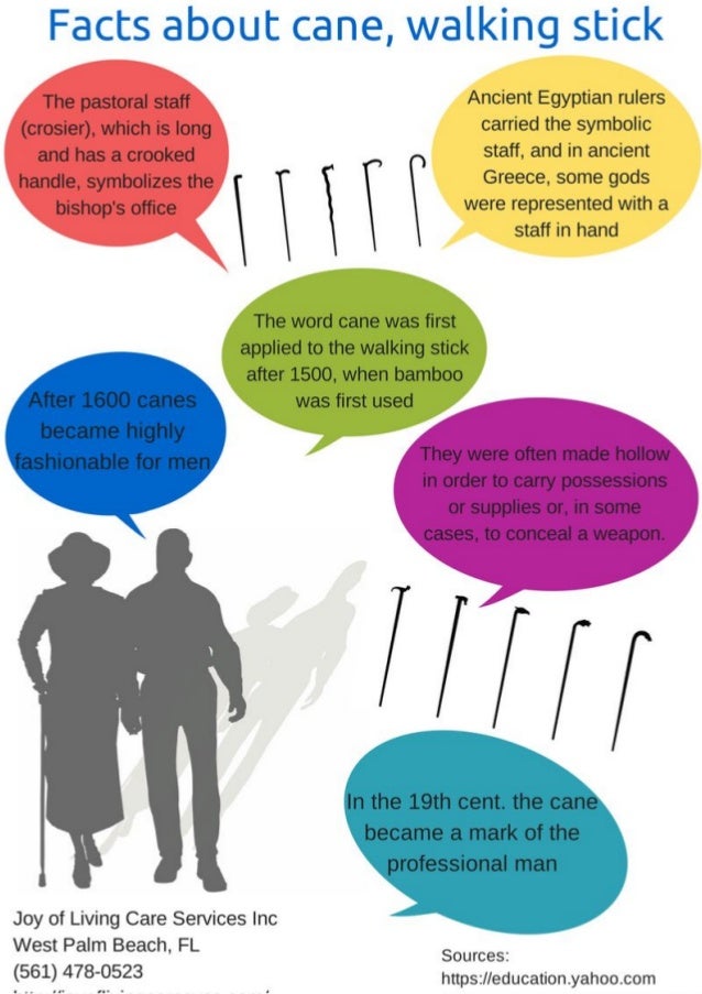 Facts about cane, walking stick