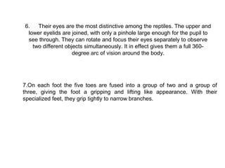 6.   Their eyes are the most distinctive among the reptiles. The upper and
 lower eyelids are joined, with only a pinhole large enough for the pupil to
 see through. They can rotate and focus their eyes separately to observe
   two different objects simultaneously. It in effect gives them a full 360-
                    degree arc of vision around the body.




7.On each foot the five toes are fused into a group of two and a group of
three, giving the foot a gripping and lifting like appearance. With their
specialized feet, they grip tightly to narrow branches.
 