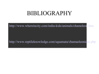 BIBLIOGRAPHY
http://www.whereincity.com/india-kids/animals/chameleon.htm



http://www.reptileknowledge.com/squamata/chamaeleonidae.php
 