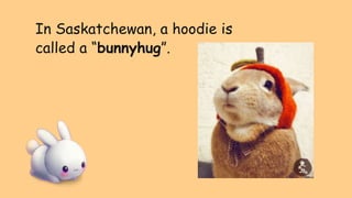 In Saskatchewan, a hoodie is
called a “bunnyhug”.
 