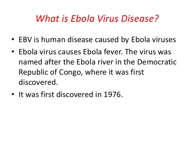 the discovery of the ebola virus in early nineties Ebola causes viral hemorrhagic fever and kills up to 90% of people who of ebola's five subtypes, the zaire strain -- the first to be identified of uganda where the virus was discovered in 2007 -- sudan and zaire sub-types. the discovery of the ebola virus in early nineties Ebola causes viral hemorrhagic fever and kills up to 90% of people who of ebola's five subtypes, the zaire strain -- the first to be identified of uganda where the virus was discovered in 2007 -- sudan and zaire sub-types.