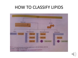 HOW TO CLASSIFY LIPIDS
 