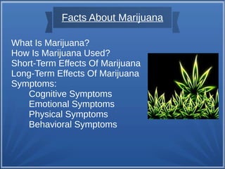 Facts About Marijuana
What Is Marijuana?
How Is Marijuana Used?
Short-Term Effects Of Marijuana
Long-Term Effects Of Marijuana
Symptoms:
Cognitive Symptoms
Emotional Symptoms
Physical Symptoms
Behavioral Symptoms
 
