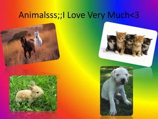 Animalsss;;I Love Very Much<3