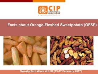 Sweetpotato Week at ILRI (13-17 February 2017)
Facts about Orange-Fleshed Sweetpotato (OFSP)
 