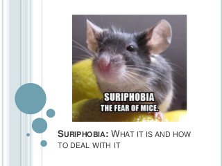 SURIPHOBIA: WHAT IT IS AND HOW
TO DEAL WITH IT
 