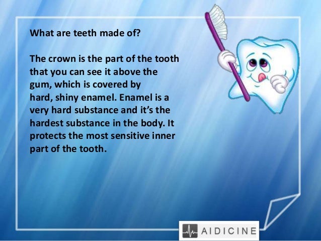 Facts about teeth