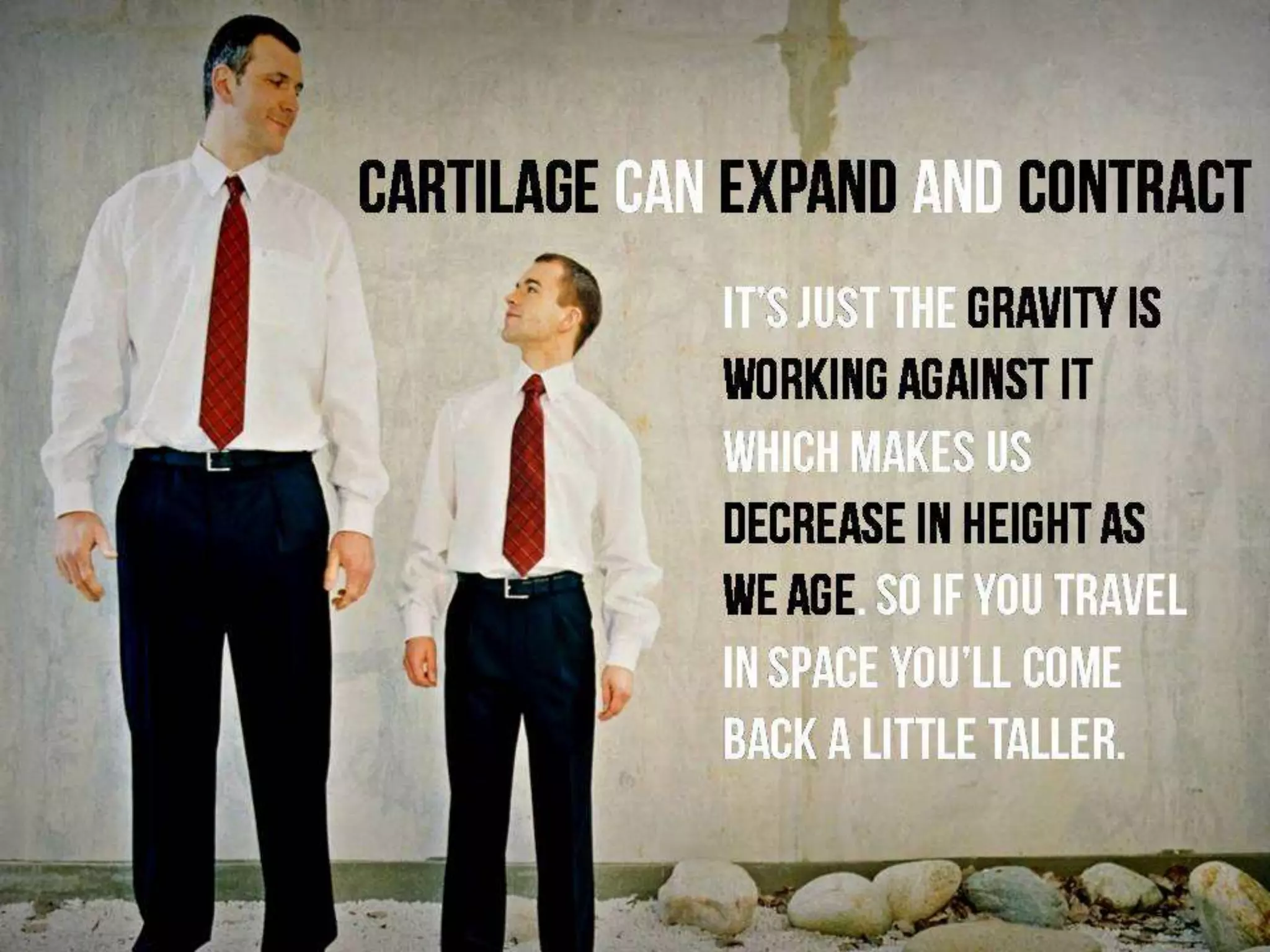 Facts you did not know