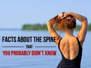 Facts About The Spine That You Probably Didn’t Know