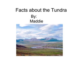 Facts about the Tundra By: Maddie  