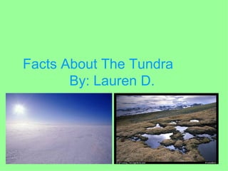 Facts About The Tundra By: Lauren D.   