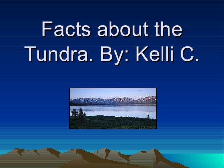 facts about the tundra