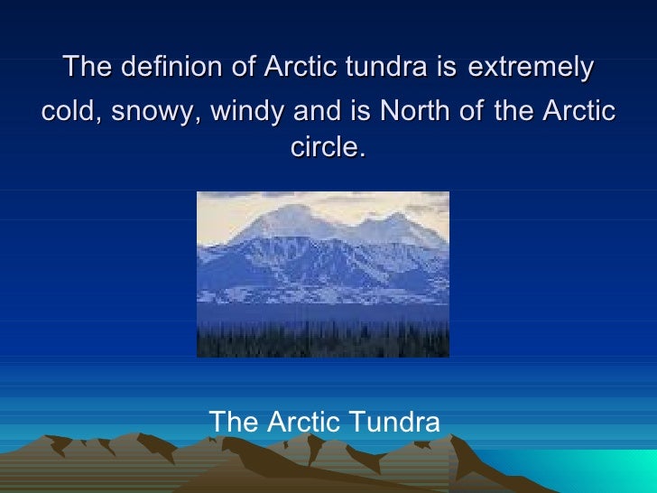 facts about the tundra