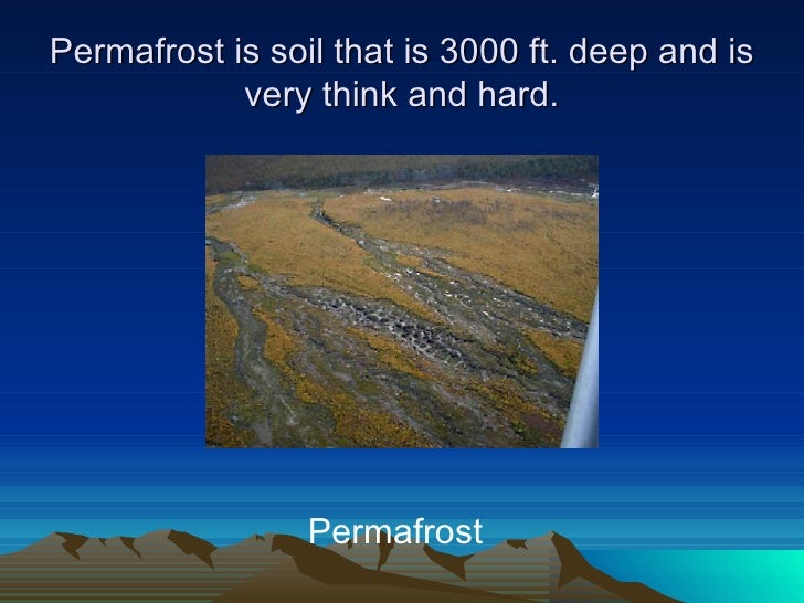 facts about the tundra