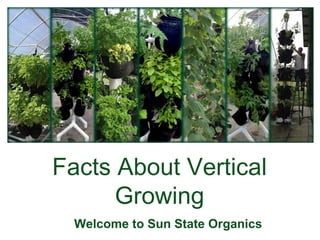 Facts About Vertical
Growing
Welcome to Sun State Organics
 
