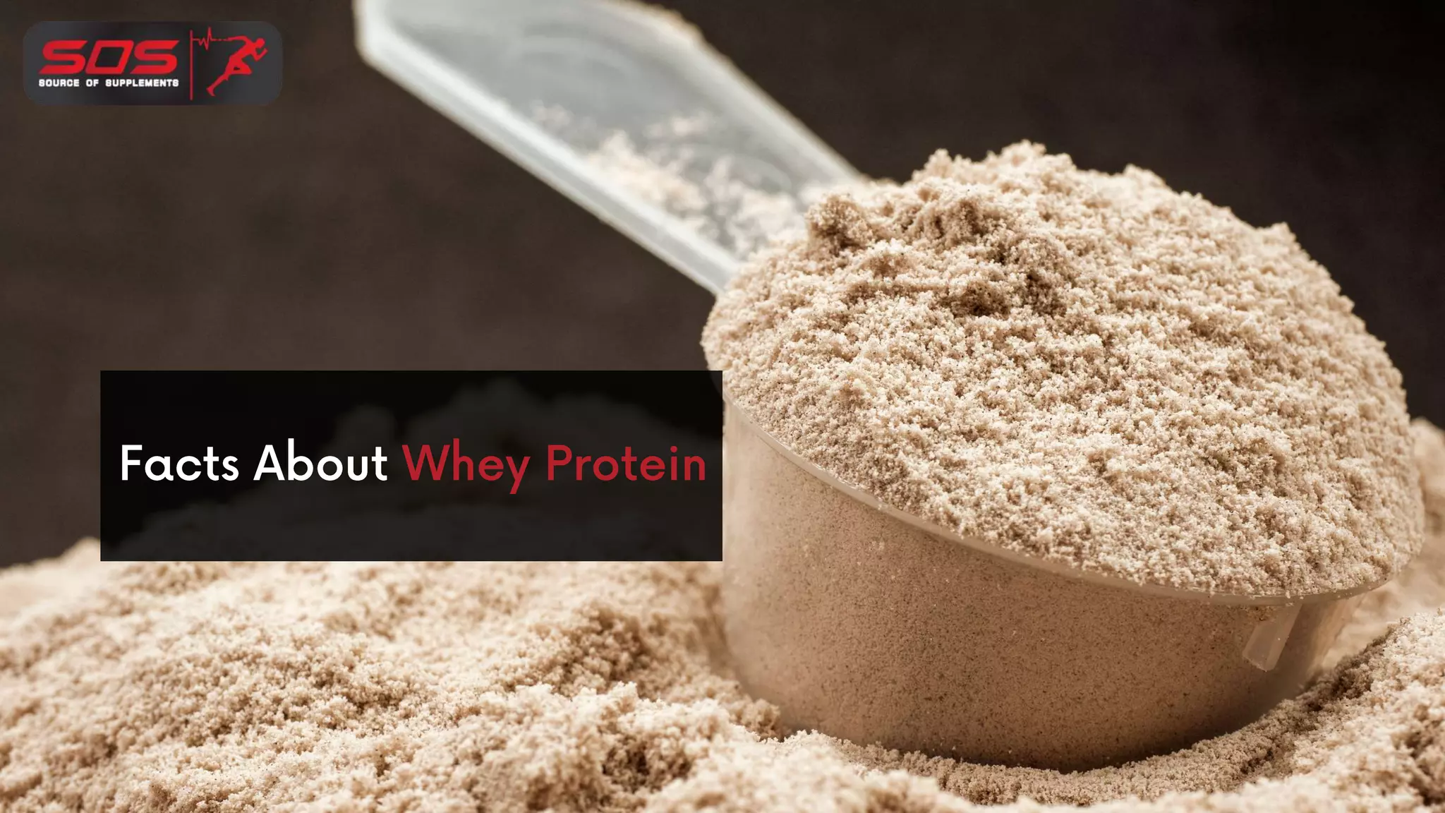 Facts about whey protein