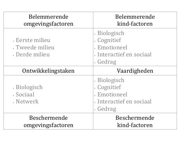 Factsheet Karakter Workshop LVB en Psychiatrie NvvP Congres 2015