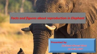 Presented by:
Facts and figures about reproduction in Elephant
 
