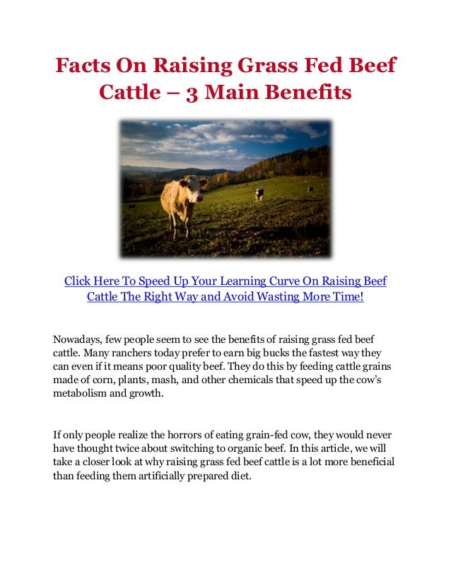 Facts On Raising Grass Fed Beef Cattle 3 Main Benefits